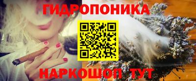спиды Новозыбков