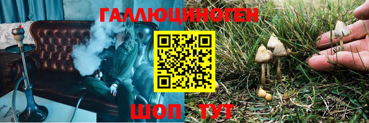 Псилоцибиновые грибы GOLDEN TEACHER Краснотурьинск