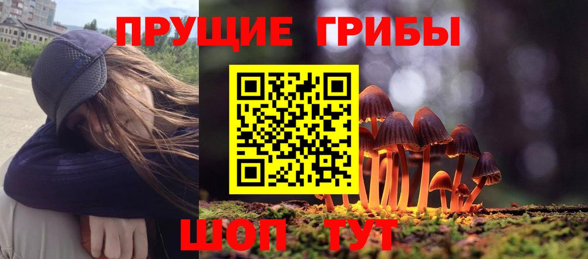 Краснотурьинск  Псилоцибиновые грибы прущие грибы  Вход с VPN 